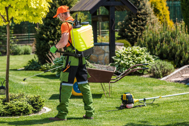 Best Bee and Wasp Removal  in St Johns, MI